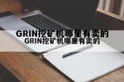 GRIN挖矿机哪里有卖的的简单介绍