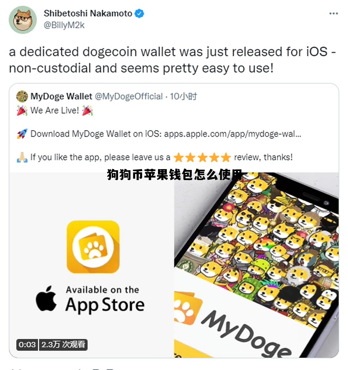 狗狗币苹果钱包怎么使用的简单介绍